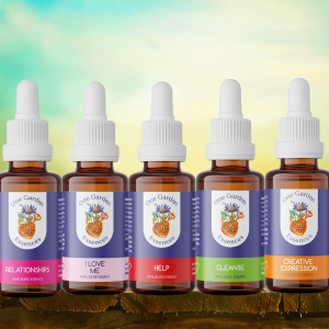 One Garden Essences Blends