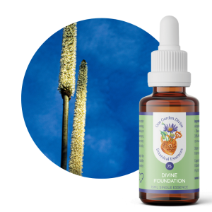 75 - Divine Foundation