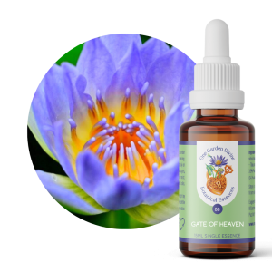 One Garden Divine Botanical Essences