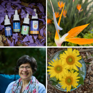 Flower Essence Therapy - A New Approach with One Garden Essences